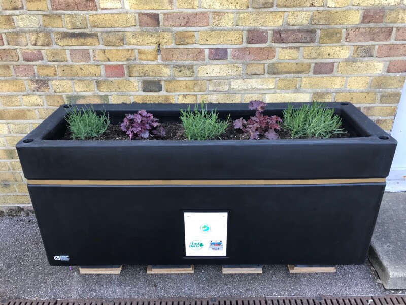 Planters at St Margaret's