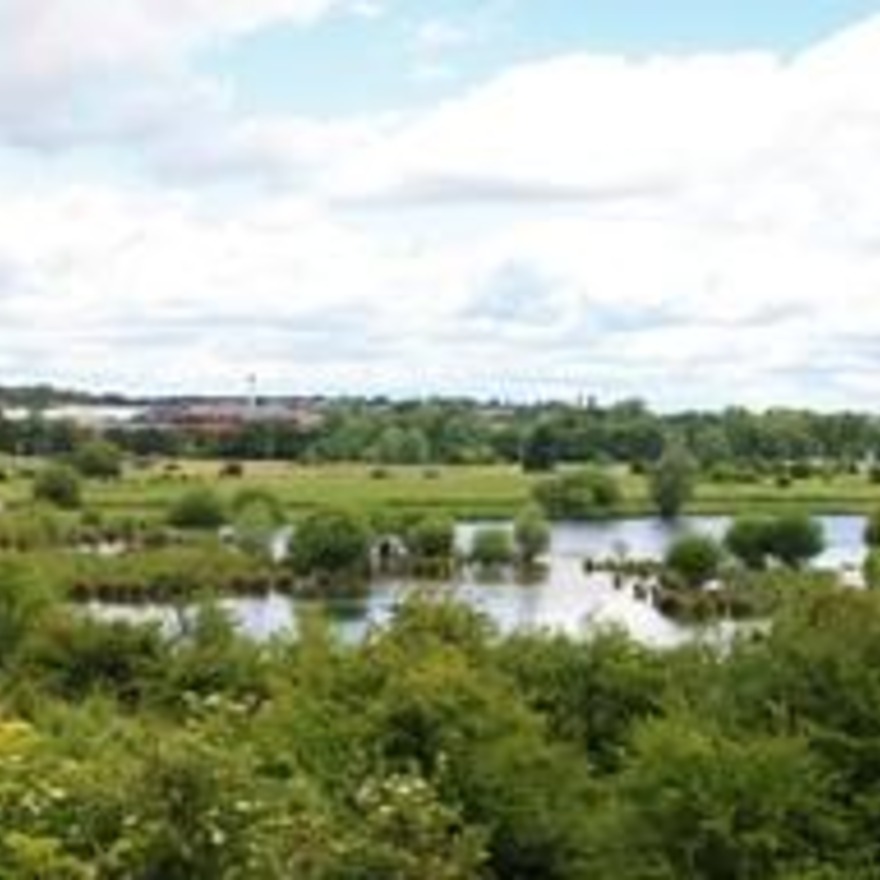 King's Meads Nature Reserve